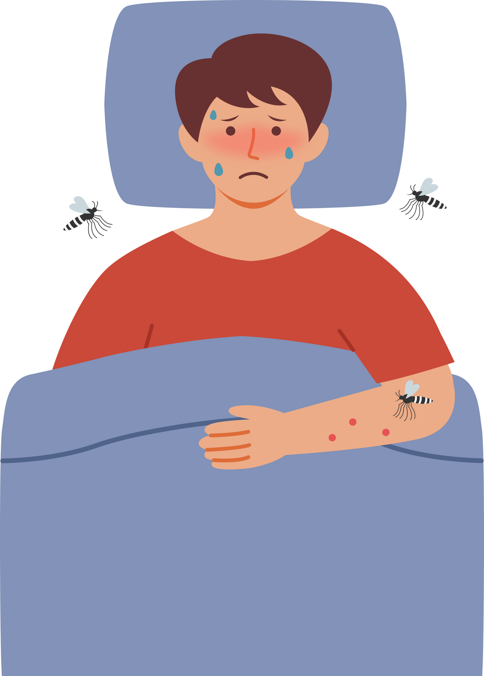 Dengue Fever Illustration